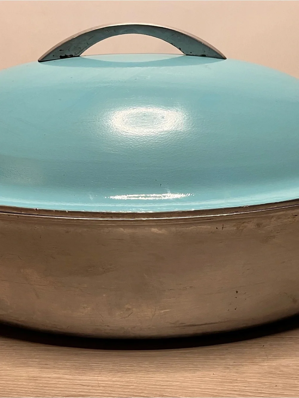 Turquoise Covered Roasting Pan with Handle - Unbranded